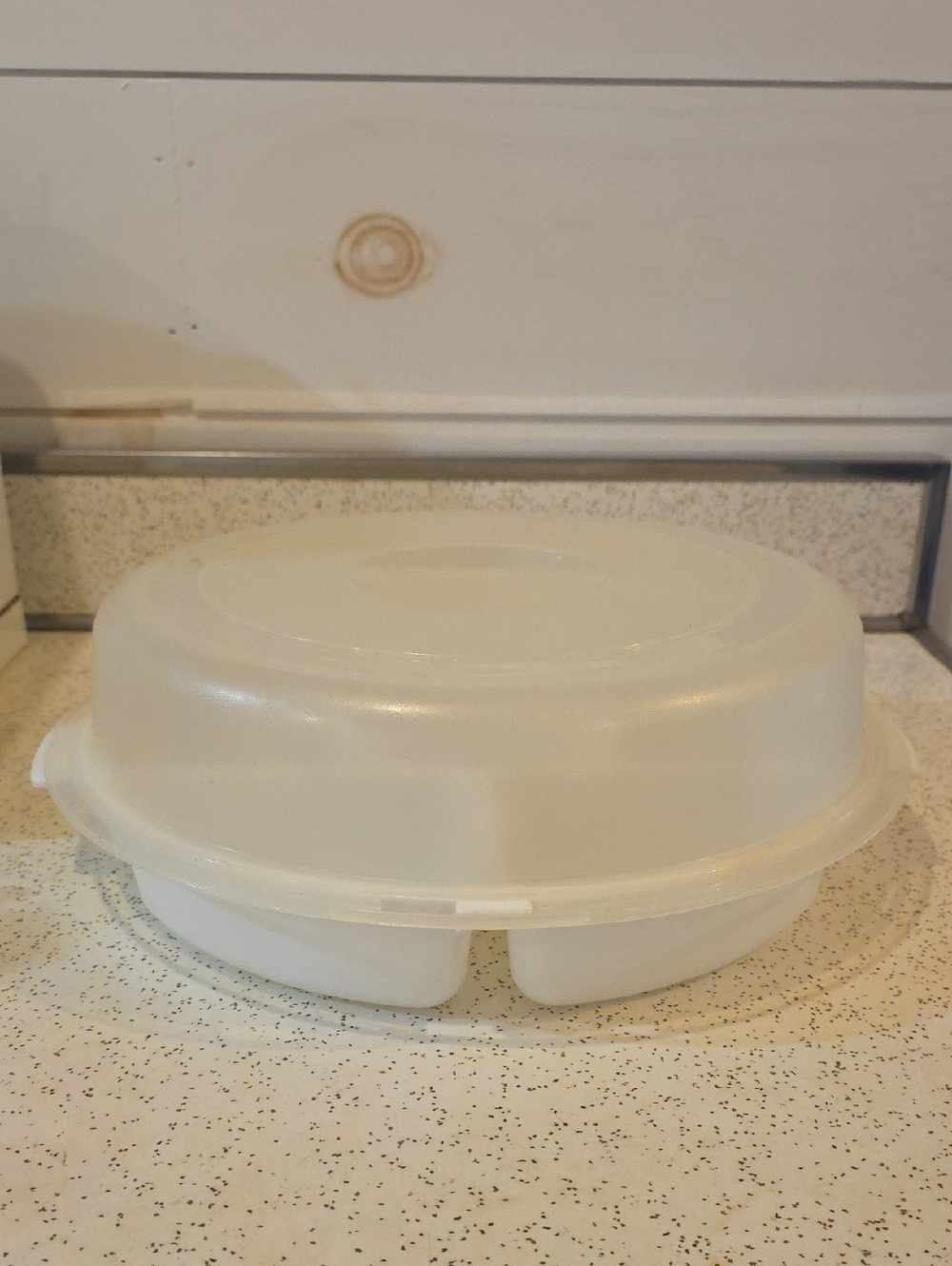 Rubbermaid Vintage Servin' Saver 12" Vegetable‎ Fruit Dip Tray with Locking Lid